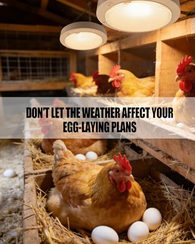 Automatic Chicken Coop LED Light with Timer, Daylight Extender for Hens, IP 65 Waterproof, Warm Light Supplement for Boost Egg Production in Winter