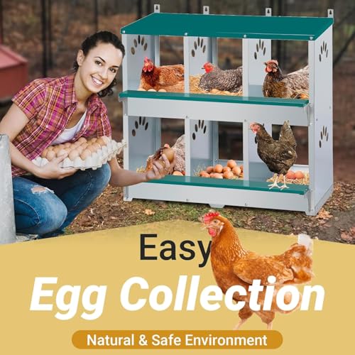 Rustproof Galvanized Steel Build - Chicken Nesting Box for Small Animals - 6 Compartments, Large Vented Holes, Easy Clean, Secure Egg Collection, Wall-Mounted - Green, 6 Compartments ZW - color: Green | 6 Compartments+legs