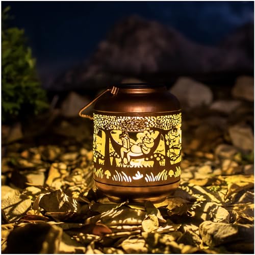 Frog Solar Lanterns Outdoor Waterproof,Hanging Solar Lights Frog Gifts for Women Men Metal LED Decorative Light for Yard,Patio,Lawn,Tabletop,Pathway,Landscape,Garden Decor - style: Frog