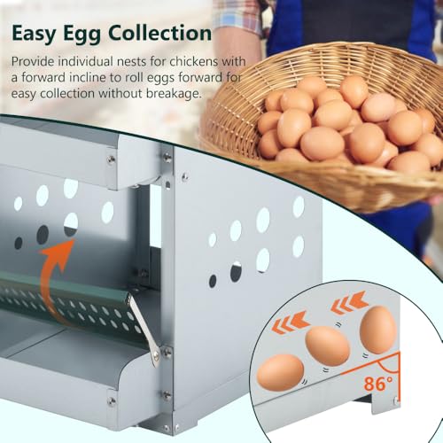 Durable Metal Chicken Nesting Box for Hens, Wall-Mounted Poultry Egg Laying Compartment with Ventilation and Easy-Clean Design (6-Hole,Green-1) - color: 6-Hole,Green-1