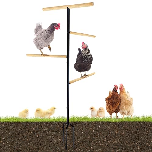Extra Large Chicken Perch,Wooden Chicken Toys with Metal Ground Plug, Outdoor Birds Training Platform, Chicken Coop Accessories for Poultry Rooster Chicks Large Bird Chicks Parrot