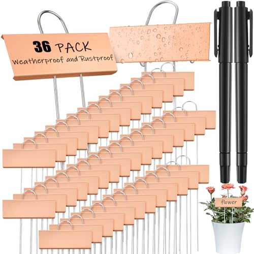 Maitys 38 Pcs Metal Plant Labels Garden Markers Outdoor Weatherproof 10.6 Inch Stainless Steel Nursery Tags Reusable Bulk with Pens for Flower Fruit Vegetable Seedling (Rose Gold Label with Black Ink) - color: Rose Gold Label With Black Ink