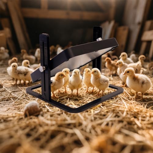 UL/ETL Certified Chick Brooder Heater Plate, 10" x 10" Adjustable Height & Temperature (113°F-158°F) Poultry Heating Plate, Safe & Energy-Efficient Heat Lamp Alternative for Up to 20 Chicks