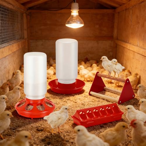 Chicken Feeder and Waterer Set Including Small Perch for Poultry Ducks Quails Pigeons and Birds Chick Starter Set - color: B