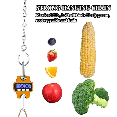 Chicken Coop Accessories Kit, Chicken Enrichment Toys, Vegetable Hanging Feeder for Backyard Chickens, Hens, Ducks & Poultry, 2 Pack