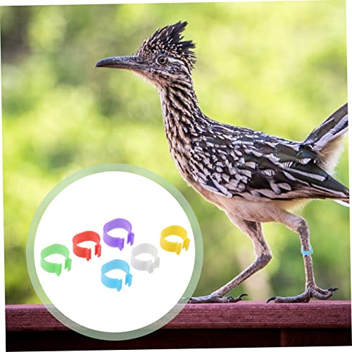 Yardwe 360pcs Chick Identification Rings Poultry Racing Bands Foot Rings for Chicken Poultry Reusable Material Random Color