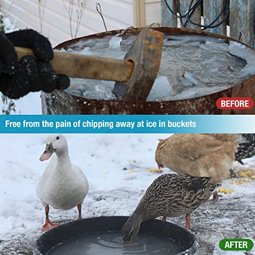 250W Chicken Waterer Heater, Aluminum Utility De-Icer for Farm & Livestock, Non-Conductive and Anti-Rust Heated Chicken Waterer, Bird Bath Heater Livestock Water Heater for Multiple Using - size: 250-Watt