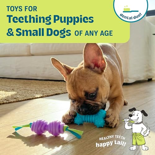 Chew Dog Toys for Teething Puppies & Small Dogs up to 15 lbs, Multi-Texture Dental Support, Bounces & Floats, Moderate Chewers, 2-Pack, 5" - size: Mini (Pack of 2)