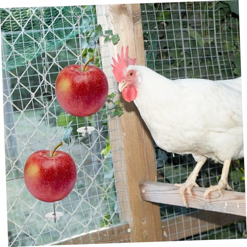 GANAZONO Chicken Foraging with Colorful Ladder Beads Swing Xylophone Fruit Feeder for Hens and Parrots Interactive Pecking for Chicken Enrichment and Active Fun