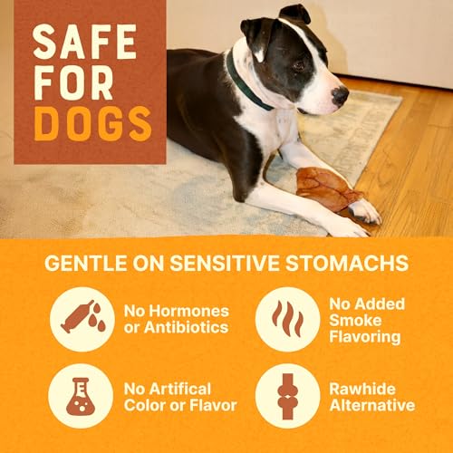 Gaines Pet Pig Ears for Dogs – 100 Pack, All-Natural Whole Ears – No Additives or Hormones, Rawhide Alternative, Supports Dental Health, Easily Digestible Treat for Small to Large Dogs - size: Pack of 100