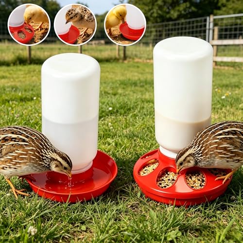 Chick Feeder Waterer Set for Chicken Chick Coop