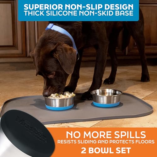 Master Pet Supply Stainless Steel Dog Bowls Set of 2 with Extra Thick Silicone Base - 2 Cup (16 oz) Black Velvet, Non-Slip, Dishwasher Safe Metal Bowls, Pet Dog Food Bowl for Dogs, Cats, Anti Rust - color: Black Velvet, size: 2 Cups (16 oz) 2 Pack