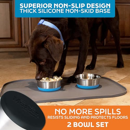 Master Pet Supply Stainless Steel Dog Bowls Set of 2 with Extra Thick Silicone Base - 2 Cup (16 oz) Black Velvet, Non-Slip, Dishwasher Safe Metal Bowls, Pet Dog Food Bowl for Dogs, Cats, Anti Rust - color: Black Velvet, size: 2 Cups (16 oz) 2 Pack