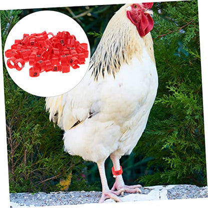 100pcs Bright Colors Meat Pigeon Anklet Pigeon Foot Rings Poultry Leg Bands Identification Ring for Birds Chicken Supplies