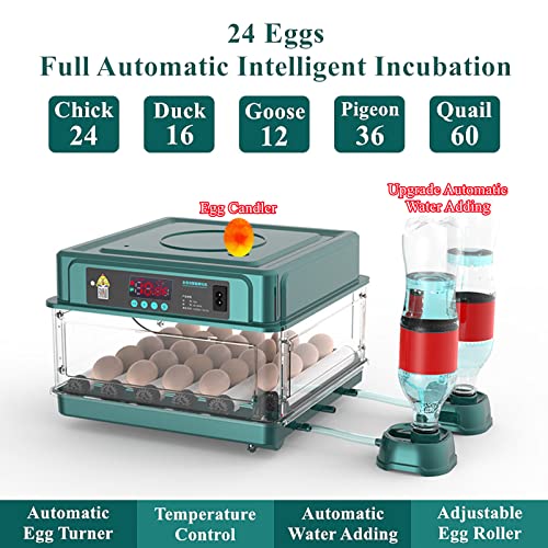 Egg Automatic Incubator 24-60 Eggs Intelligent Incubators for Hatching Eggs, Poultry Hatching Machine for Chicken Duck Goose Quail Bird Pigeon