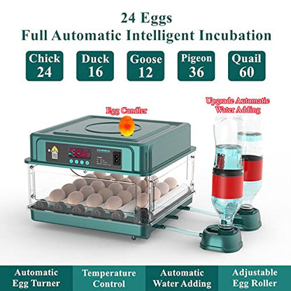 Egg Automatic Incubator 24-60 Eggs Intelligent Incubators for Hatching Eggs, Poultry Hatching Machine for Chicken Duck Goose Quail Bird Pigeon