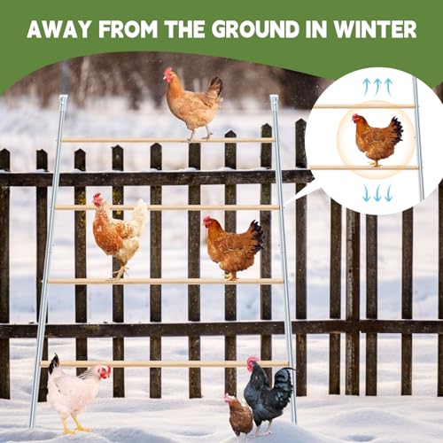 Wenqik Large Chicken Perch Chicken Roosting Bars for Coop Easy Installation Ladder for Backyard Poultry Galvanized Wood Entertaining Roost Toys for Hen Coop Accessories(55'' L x 41'' W)