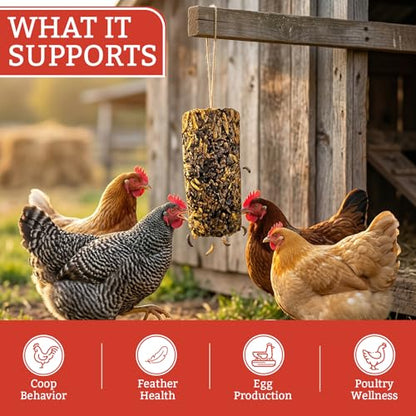 Peck Away Grub Hanging Chicken Treat on String, Black Soldier Fly Larvae for Chickens, High Protein Chicken Snacks and Treats for Laying Hens, 9.87 oz