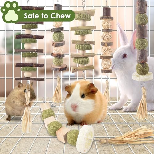 Bissap 6PCS Bunny Chew Toys, Natural Hanging Rabbit Chew Toy Treats for Guinea Pigs Hamsters Gerbils Chinchilla and Other Small Pets for Teeth Grinding - size: 6 PCS