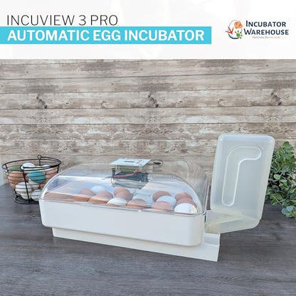 IncuView 3 Pro All-in-One Automatic Egg Hatching Incubator with AquaTank - style: IncuView + AquaTank (Extra Capacity)