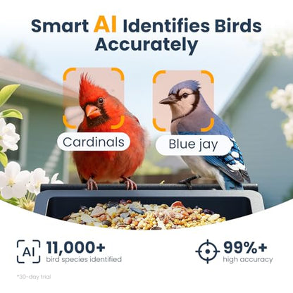 Smart Metal Bird Feeder with Camera, Deep Blue | Squirrel Proof, 2.5K UHD AI Identification, Wireless Solar Powered, Real-time Videos & IMG, Outdoor for Garden Birding, Gift - color: Blue