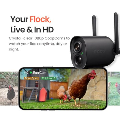 Smart Coop with Base – Weatherproof, Predator-Proof Chicken Coop with Dual Smart Cameras, Automatic Door, Solar Optional for 4-6 Chickens - size: 31.0"L x 30.0"W x 40.0"H