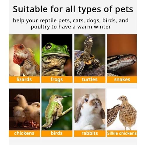 MANON ROSA Bird Cage Heater for Parakeets Chickens Parrots - Thermostatic Socket, No-Light Lamp with 2 Ceramic Bulbs (E27 110V) - Small Pet Winter Warming Equipment(25W&50W)