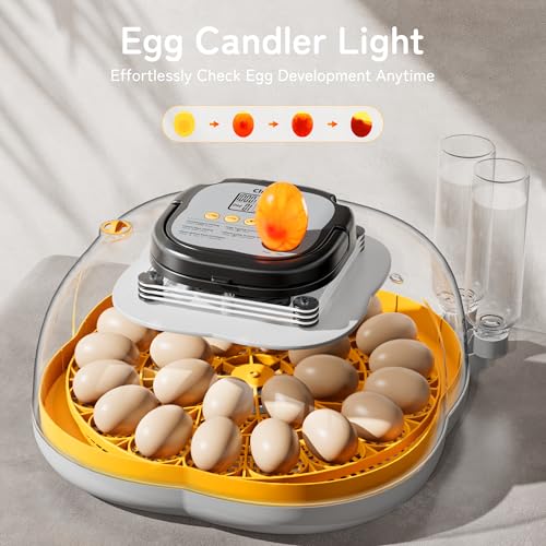 25 Egg Incubators for Hatching Eggs, Spacious Interior with Protective Wall, Top Handle, Automatic Egg Turning, Smart Lockdown Mode, Incubation Day, Auto Water Refill, for Chicken, Quail & Duck Eggs - size: 25 Eggs