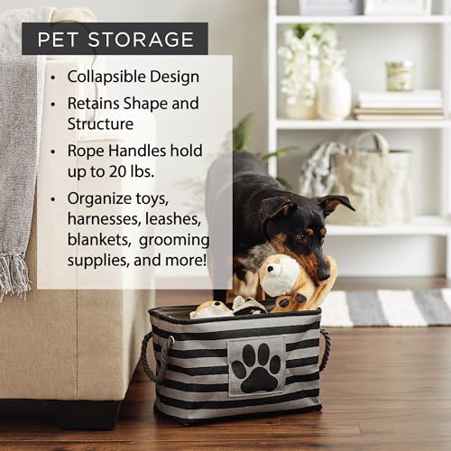 Bone Dry Pet Storage Collection Collapsible Bin, Small Rectangle, Aqua - color: Aqua, size: Small Rectangle