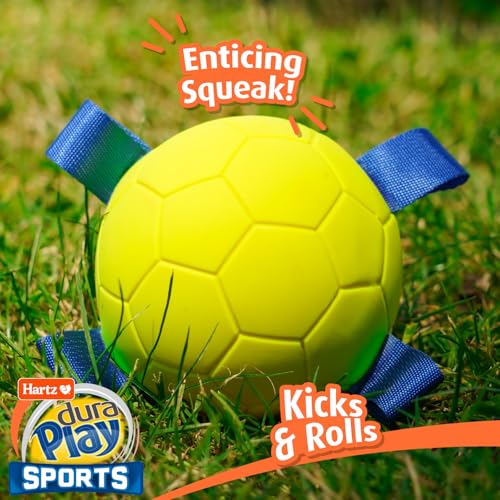 Hartz Dura Play Sports Soccer Dog Toy, Bacon Scented Squeaky Latex Yellow & Blue Toy, 3 Count - size: 3 Count, style: Soccer Ball
