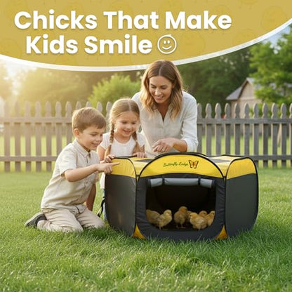Chicken Brooder Box for Chicks, 6-in-1 Chick Starter Kit, 45" Large Chicken Brooder Pet Tent, Chick Coop for 10-15 Chicks with Feeder, Waterer & Cleaner, Indoor Chick Pen