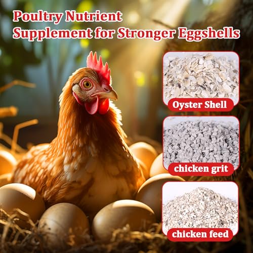 Oyster Shell and Grit Feeder Combo, Metal Chicken Feeder with Viewing Window/Lid, Hanging Gravity Chicken Grit Feeder, Coop Accessories for Healthier Hens and Eggs (Black) - color: Black