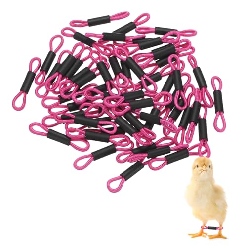 M METERXITY 50-Pack Adjustable Chick Leg Bands, 1.38" x 0.2" Polyester Chicken Leg Brace for Chicks/Ducks/Birds [Rose Red] Poultry Leg Bands - color: RoseRed