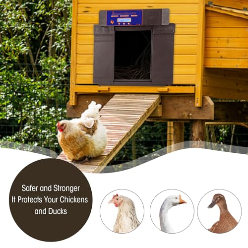 Automatic Chicken Coop Door Opener with Timer and Solar Battery Power, Double Electric Chicken Door with LED Display, for Chickens Ducks Geese, IP45, Anti - (Dark Brown) - color: Dark Brown