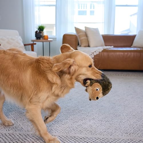 Outward Hound Hedgehogz Stuffed Dog Toy – Soft Plush Hedgehog, Grunts & Squeaks, Large, 12" x 6" x 7" - size: Large (Pack of 1)