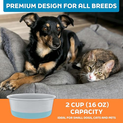 Master Pet Supply Stainless Steel Dog Bowls Set of 2 with Extra Thick Silicone Base - 2 Cup (16 oz) Aqua Sky, Non-Slip, Dishwasher Safe Metal Bowls, Pet Dog Food Bowl for Dogs, Cats, Anti Rust - color: Aqua Sky, size: 2 Cups (16 oz) 2 Pack