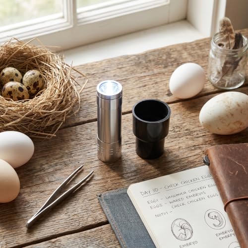 Egg Candler Tester, LED Light for Observing Egg Development, Simple to Use and Portable, EnergySaving, Made with Aluminum Alloy, Versatile for All, with Plastic Cover, Hand (Silver