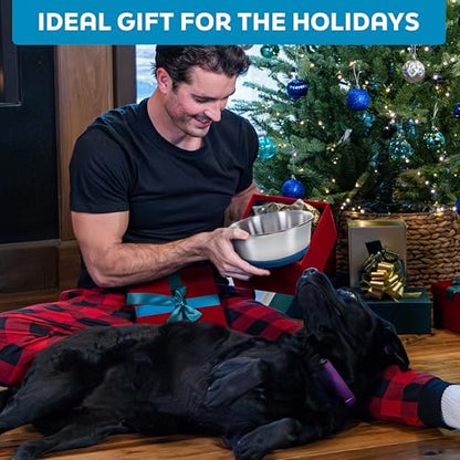 Master Pet Supply Stainless Steel Dog Bowls Set of 2 with Extra Thick Silicone Base - 2 Cup (16 oz) Crimson Red, Non-Slip, Dishwasher Safe Metal Bowls, Pet Dog Food Bowl for Dogs, Cats, Anti Rust - color: Crimson Red, size: 2 Cups (16 oz) 2 Pack