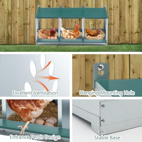 Chicken Nesting Box – 3/4/6/8-Room Metal Poultry Laying Box with Rollaway Egg Collection, Wall-Mounted Or Freestanding, Easy Assembly, Green(3 Holes)