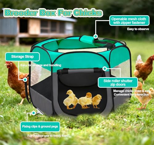 Pop Up Chicken Brooder Starter Kit - Easy to Assemble, Portable & Easy to Clean Brooder Box for Baby Chicks & Ducklings