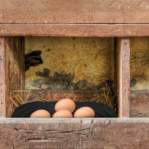 Toyvian Chicken Nesting Pads 4 Pack Washable Egg Laying Mats for Chicken Coop Soft Sponge Nest Box Liners Non Rolling Nest Pads for Poultry Care 12.00 X 12.00 X 0.39 in