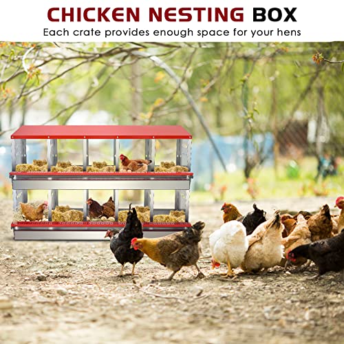 Nesting Box for Chickens, Roll Away Chicken Nesting Boxes with Easy Egg Collection Heavy Duty Metal Laying Box for Hens - 10 Compartment