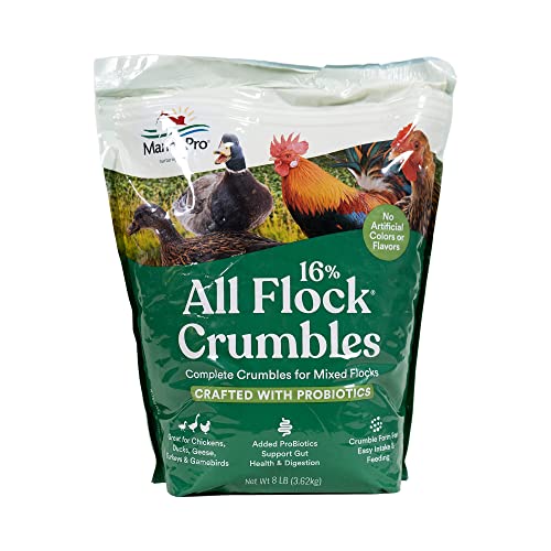Manna Pro All Flock Crumbles, Crafted with Probiotics for Gut Health & Digestion, 16% Protein for Mixed Flocks with No Artificial Colors or Flavors, Crumbled for Easy Feeding, 8 lbs - size: 8 Pound (Pack of 1)