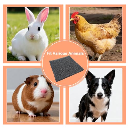 Nesting Pads for Chicken Coop, Washable Plastic Nesting Box Liners, Reusable Box Pads, Coop Accessories for Chicken Hen Box Laying Eggs, Gray,12 x 12 inch (3 Pack) - color: 3 Pack