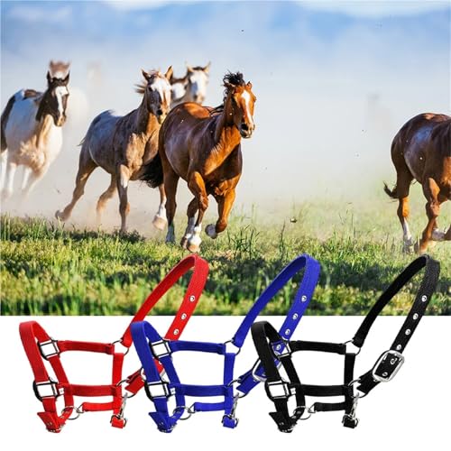 Cattle Halter Padded Halter Pony Bridle Head Collar Adjustable Horse Supplies Professional Soft Headstall(Black,X-Large) - color: Black, size: X-Large