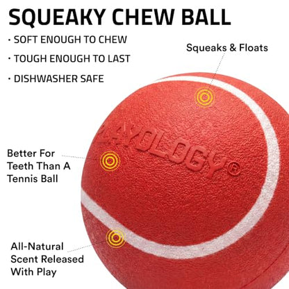 Playology Dog Toys | Squeaky Chew Ball for Dogs, Value 2-Pack | Beef Scented Medium Dog Balls | Bouncy Floating Chew Toys for Fetch - size: Medium (VALUE 2-Pack), style: Beef