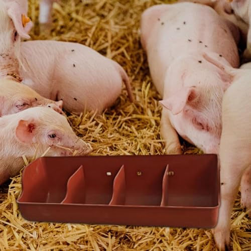 Pig Trough,Food Feeder,Small Animals Waterer,4 Compartment Farm Animal Supplies,Feeding Livestock Pets Fodder Slot,Pig Manger
