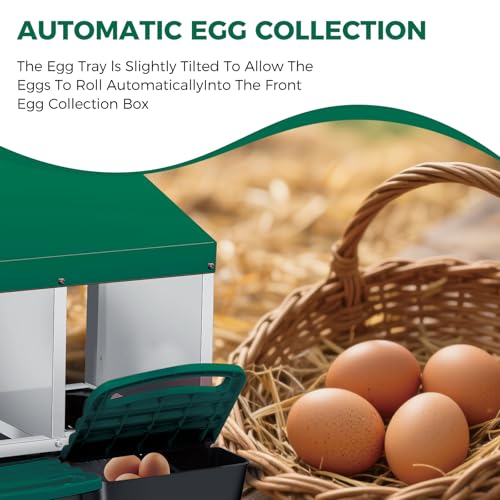 Chicken Nesting Boxes with Cleanable Pull-Out Trays, 4-Hole Wall Mount Roll Away Nest for Easy Cleaning & Egg Collection - size: 4 holes 2 layers