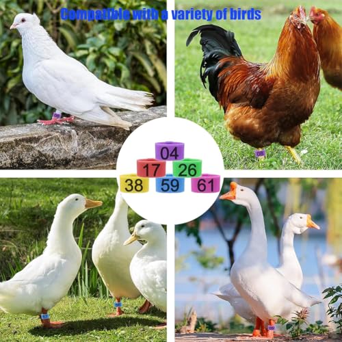 100pcs Foot Bands - 8/10/12mm Poultry Leg Straps, 10 Colors, No. 001-500 Poultry Leg Straps for Chicken, Duck, Pigeon 12 mm (0.47in) 201-300 - color: 12 mm (0.47in)201-300
