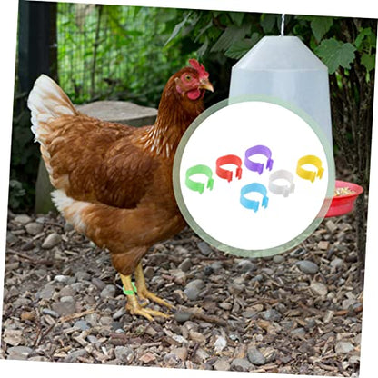 Yardwe 360pcs Chick Identification Rings Poultry Racing Bands Foot Rings for Chicken Poultry Reusable Material Random Color